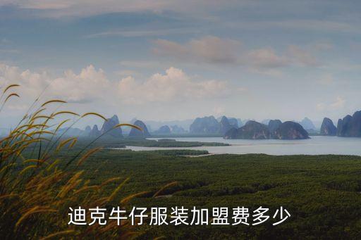 迪克牛仔加盟，迪克牛仔加盟
