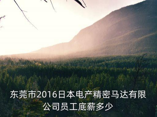 東莞市2016日本電產(chǎn)精密馬達(dá)有限公司員工底薪多少