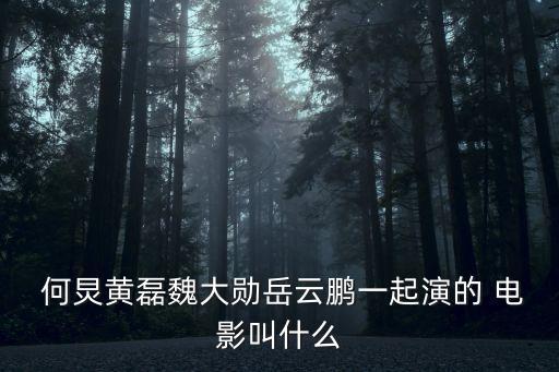 何炅電影,《梔子花開》導演何炅瘦十多斤邀黃磊出演電影