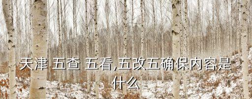 天津 五查 五看,五改五確保內容是什么
