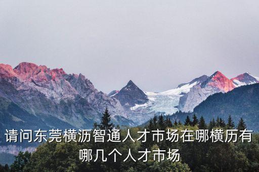 請問東莞橫瀝智通人才市場在哪橫歷有哪幾個人才市場