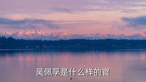 吳佩孚是什么樣的官