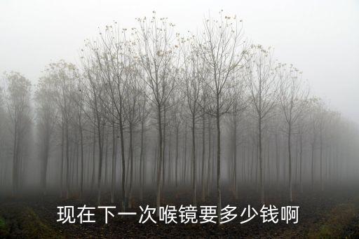 現在下一次喉鏡要多少錢啊