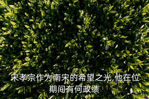 宋孝宗,趙孝宗禪定原因:收復中原無望主動退位