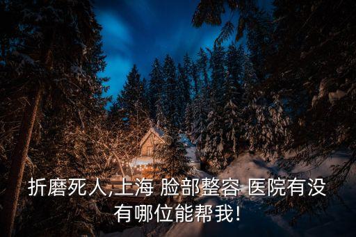 折磨死人,上海 臉部整容 醫院有沒有哪位能幫我!