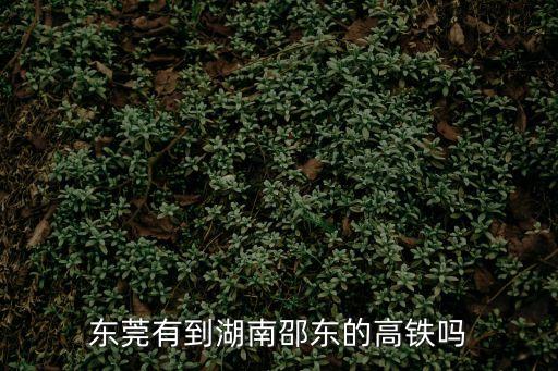 東莞有到湖南邵東的高鐵嗎