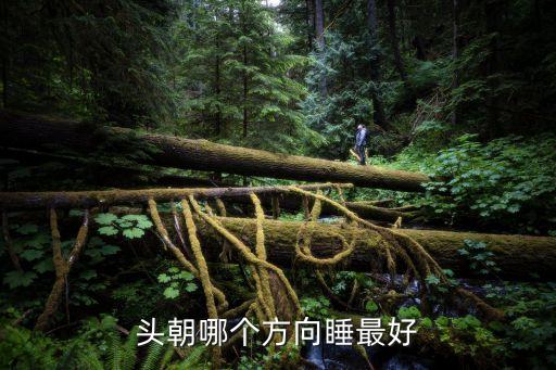 睡覺頭朝哪個方向好，頭朝哪兒睡覺好