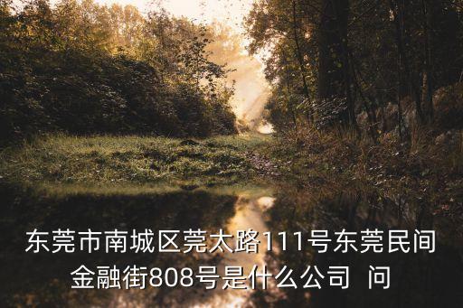 東莞市南城區莞太路111號東莞民間金融街808號是什么公司  問