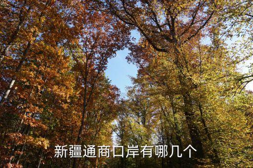 新疆通商口岸有哪幾個(gè)