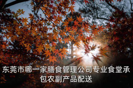 東莞市哪一家膳食管理公司專業(yè)食堂承包農(nóng)副產(chǎn)品配送