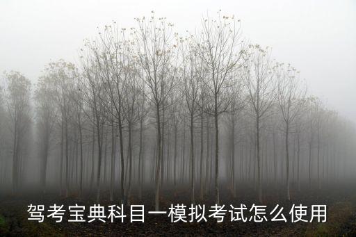 駕考寶典科目一模擬考試怎么使用