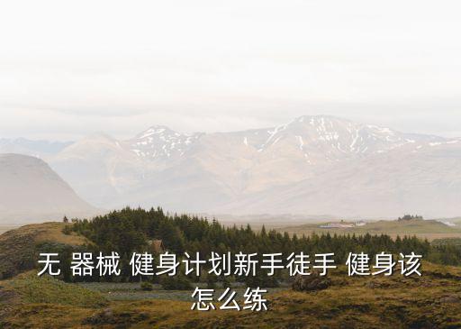 無 器械 健身計劃新手徒手 健身該怎么練