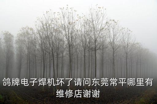 鴿牌電子焊機(jī)壞了請(qǐng)問東莞常平哪里有維修店謝謝