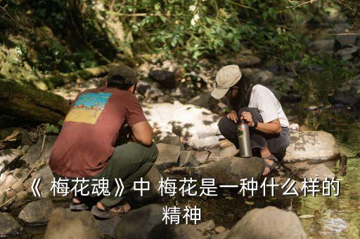 梅花精神,梅花朵朵綻放展現中國人的抗風雪精神