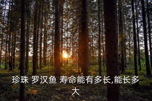 羅漢魚壽命,羅漢魚身體兩側有黑色花紋最長壽命未考證