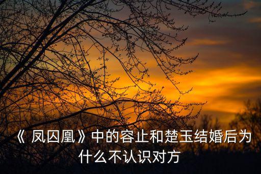 《 鳳囚凰》中的容止和楚玉結婚后為什么不認識對方