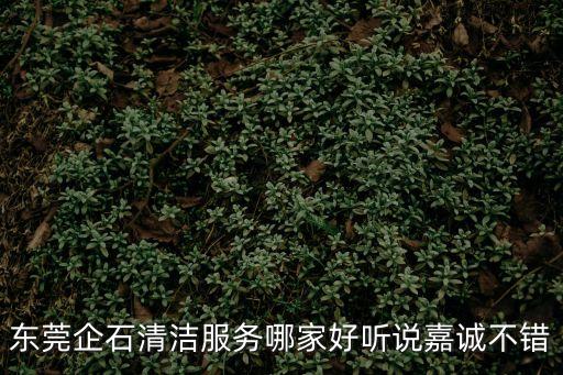 東莞企石清潔服務(wù)哪家好聽說嘉誠不錯(cuò)