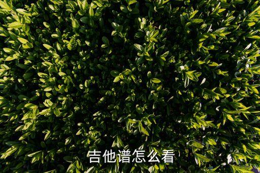  吉他譜怎么看