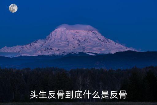 頭生反骨到底什么是反骨