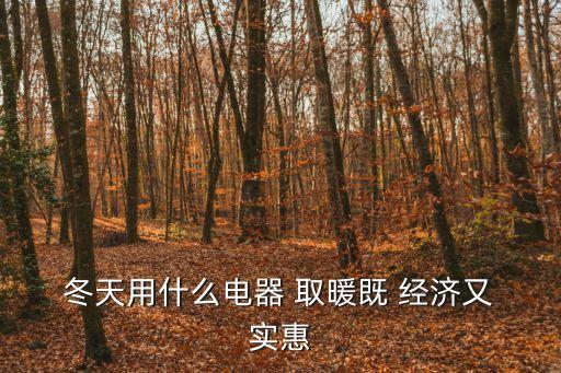  冬天用什么電器 取暖既 經(jīng)濟(jì)又 實(shí)惠