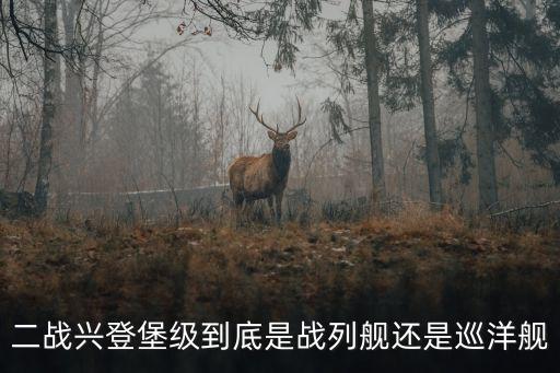 興登堡號，二戰(zhàn)興登堡級到底是戰(zhàn)列艦還是巡洋艦