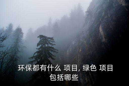  環保都有什么 項目, 綠色 項目包括哪些