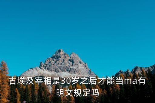 維西爾，維西爾翻譯成英文的字母是什么