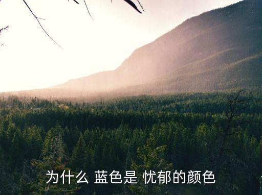 藍(lán)色憂郁,藍(lán)色憂郁是一種貴族限制還是一場(chǎng)電影