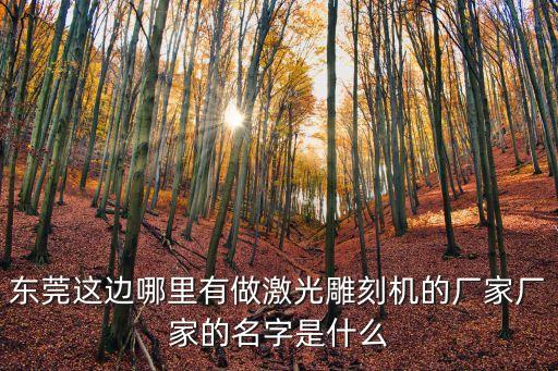 東莞氧化鋁打黑激光雕刻加工，厚街哪家激光雕刻加工廠更專業