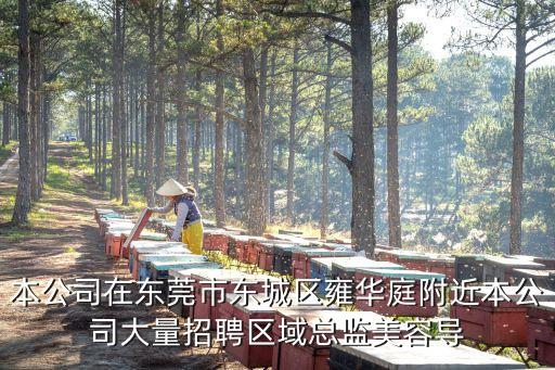 東莞朝陽整形美容醫院招聘，整形美容醫院