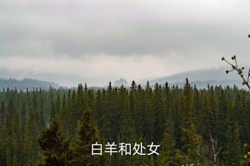 白羊座處女座，白羊座與處女座