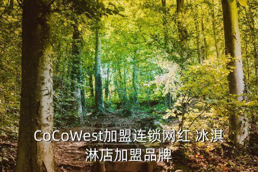 CoCoWest加盟連鎖網紅 冰淇淋店加盟品牌