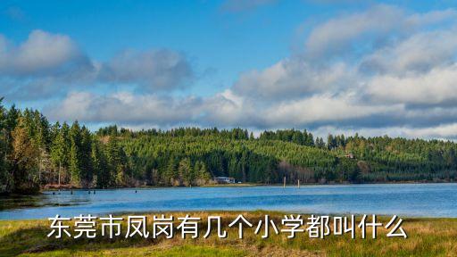 東莞鳳崗鎮油甘埔小學怎么樣，東莞鳳崗鎮那間學校好