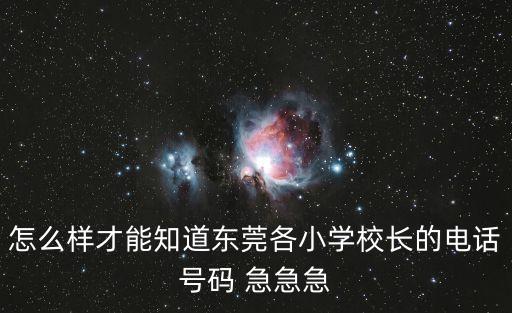 怎么樣才能知道東莞各小學校長的電話號碼 急急急
