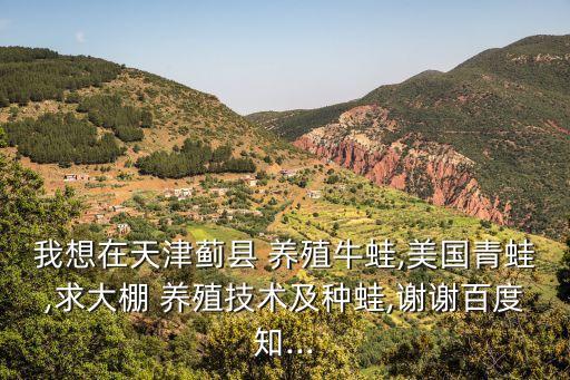 我想在天津薊縣 養(yǎng)殖牛蛙,美國青蛙,求大棚 養(yǎng)殖技術(shù)及種蛙,謝謝百度知...