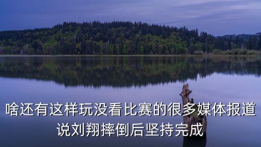 啥還有這樣玩沒看比賽的很多媒體報道說劉翔摔倒后堅持完成