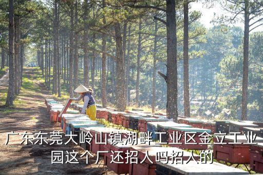 廣東東莞大嶺山鎮(zhèn)湖畔工業(yè)區(qū)金立工業(yè)園這個廠還招人嗎招人的