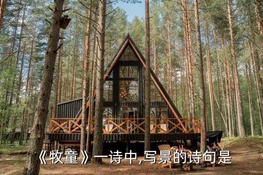 《牧童》一詩中,寫景的詩句是