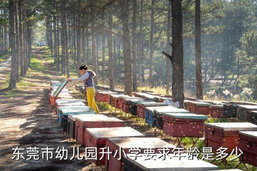 東莞寮步晶晶幼兒園招生條件，未滿3周歲可以在東莞哪里上幼兒園