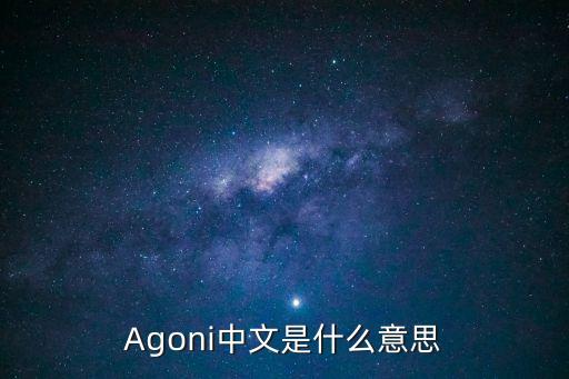 其他英文，Agoni中文是什么意思