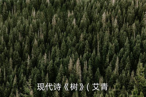 艾青的現(xiàn)代詩,中國現(xiàn)代詩集:詩人自己把握命運(yùn)