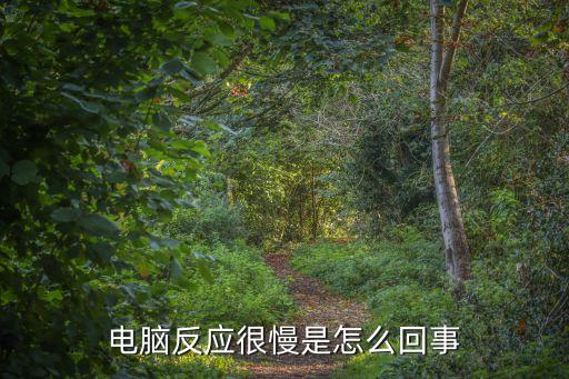 電腦反應很慢是怎么回事