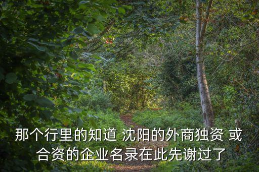 那個(gè)行里的知道 沈陽(yáng)的外商獨(dú)資 或 合資的企業(yè)名錄在此先謝過(guò)了