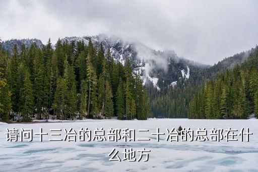 二十冶東莞創新產業中心，那個什么二十冶啊五冶啊中冶啊他們的公司都屬于哪個總公司