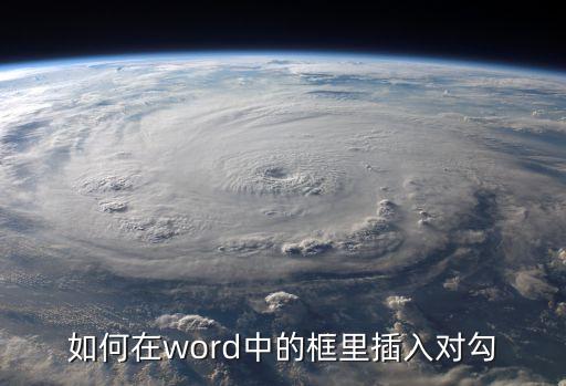 帶方框的對勾，如何在word中的框里插入對勾