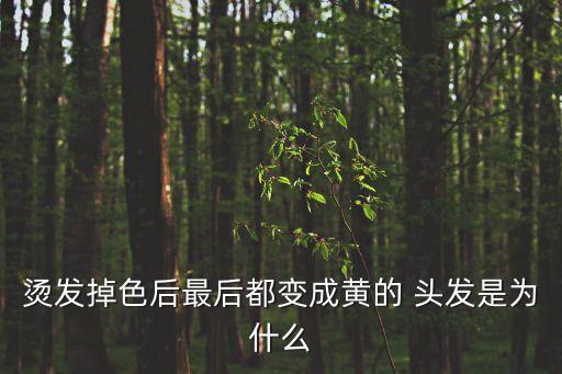 燙發掉色后最后都變成黃的 頭發是為什么