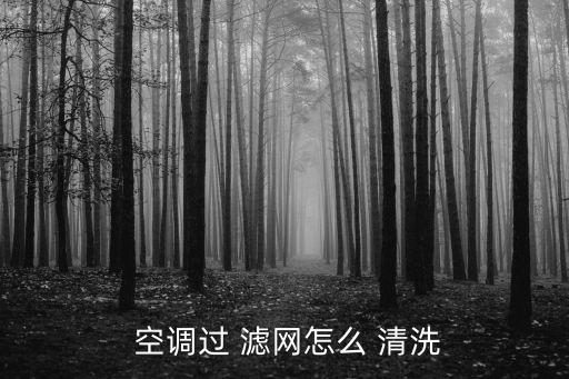  空調(diào)過(guò) 濾網(wǎng)怎么 清洗