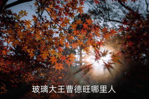 玻璃大王曹德旺哪里人