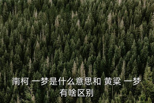 黃粱一夢的意思,你會開悟黃粱一夢么?