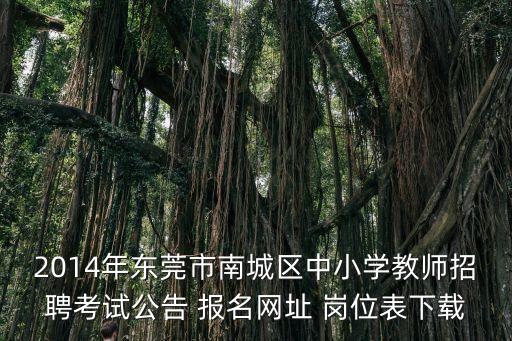 東莞市教師校招公告，2013年廣東東莞市教育局中小幼教師省招聘網